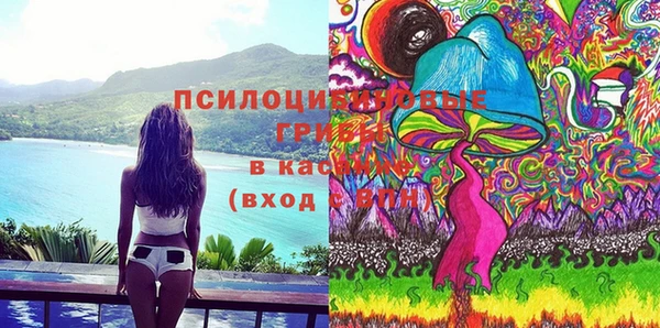 гидропоника Алзамай