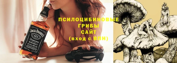 mix Алексин