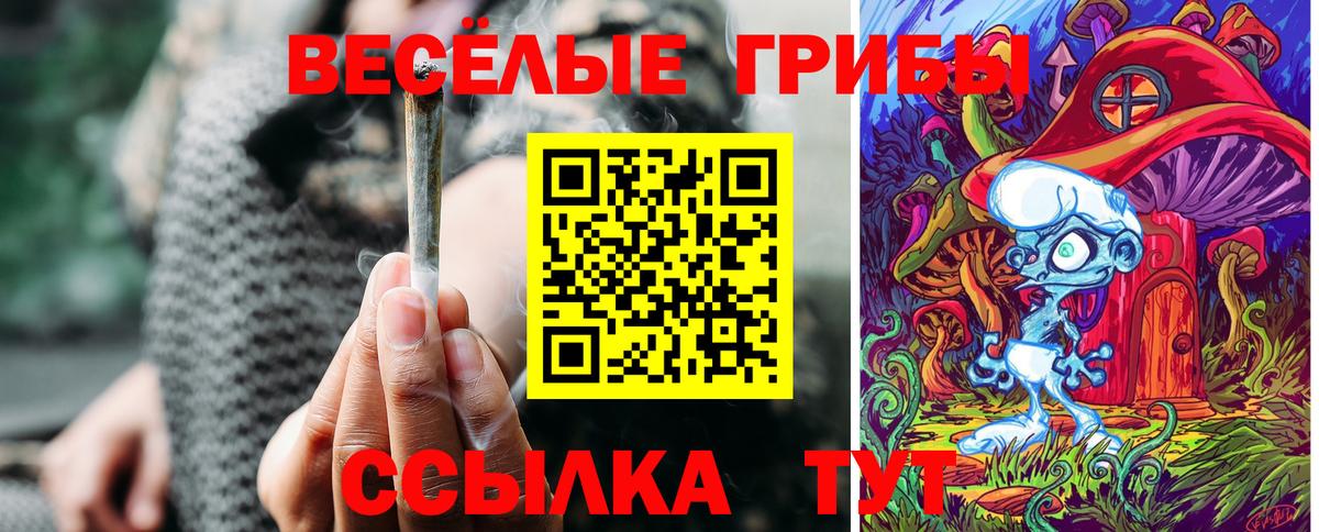 Галлюциногенные грибы прущие грибы Губкин